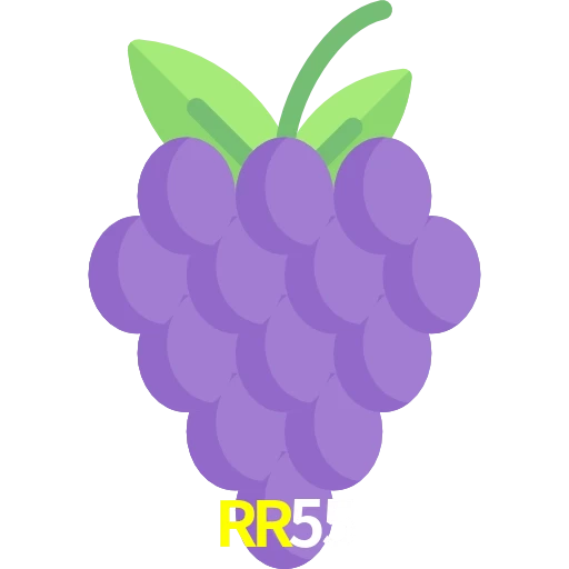 RR55